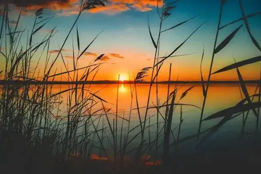 Florescer da Maturidade